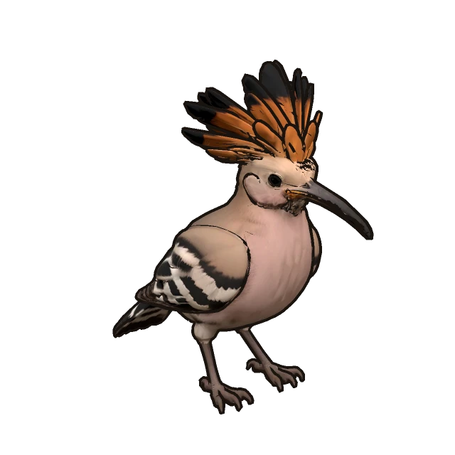 Eurasian Hoopoe perched, the 3D model from the game