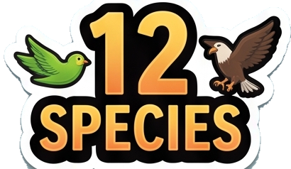 12 species